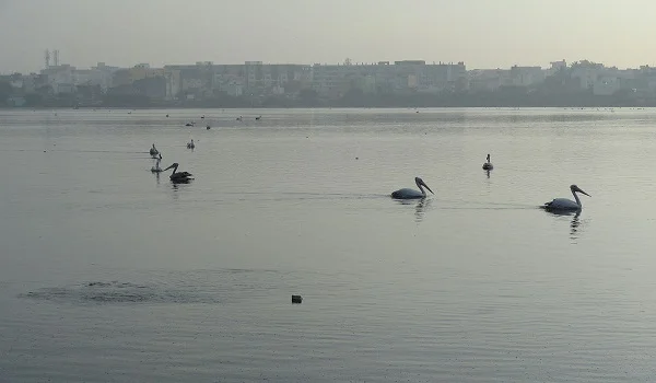 Bommenahalli Lake