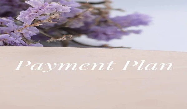 Payment Plan The upright decision by Godrej Properties